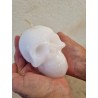 CRANE Bougie / Skull candle