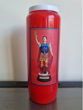 NEUVAINE + MEDAILLE SAINT EXPEDIT