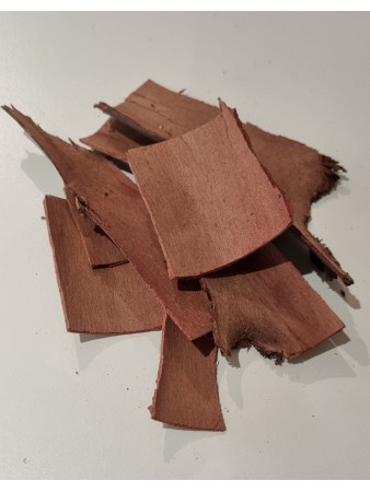 ECORCE EUCALYPTUS - Travaux magiques