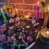 roue de l'année wicca