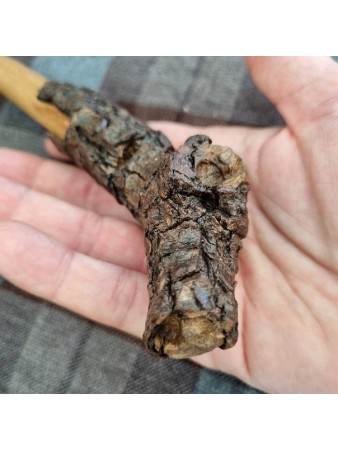 BAGUETTE MAGIQUE bois Hêtre et écorce naturelle