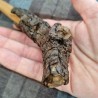 BAGUETTE MAGIQUE bois Hêtre et écorce naturelle